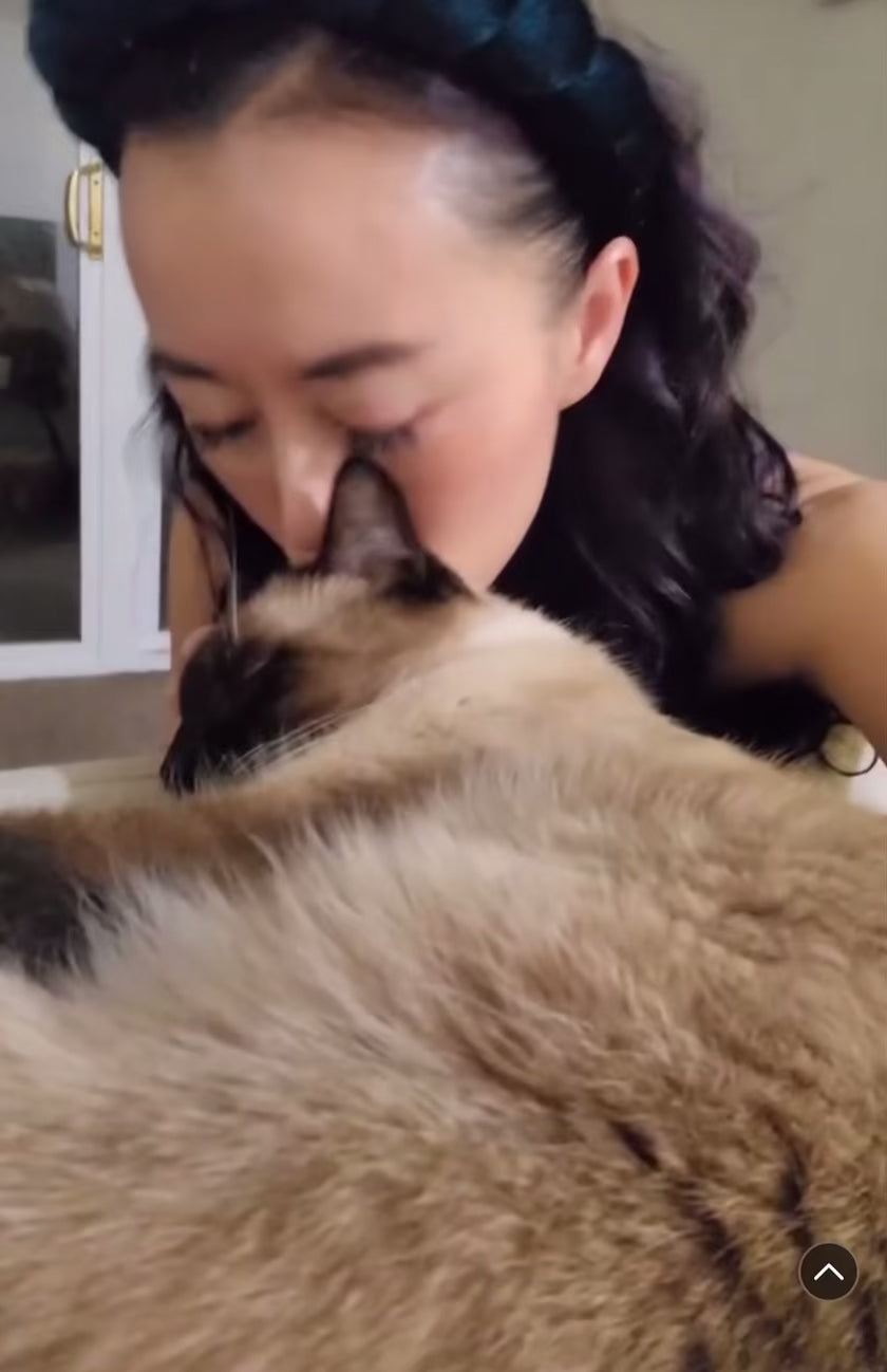 LIGHT AURA - Face Mask video